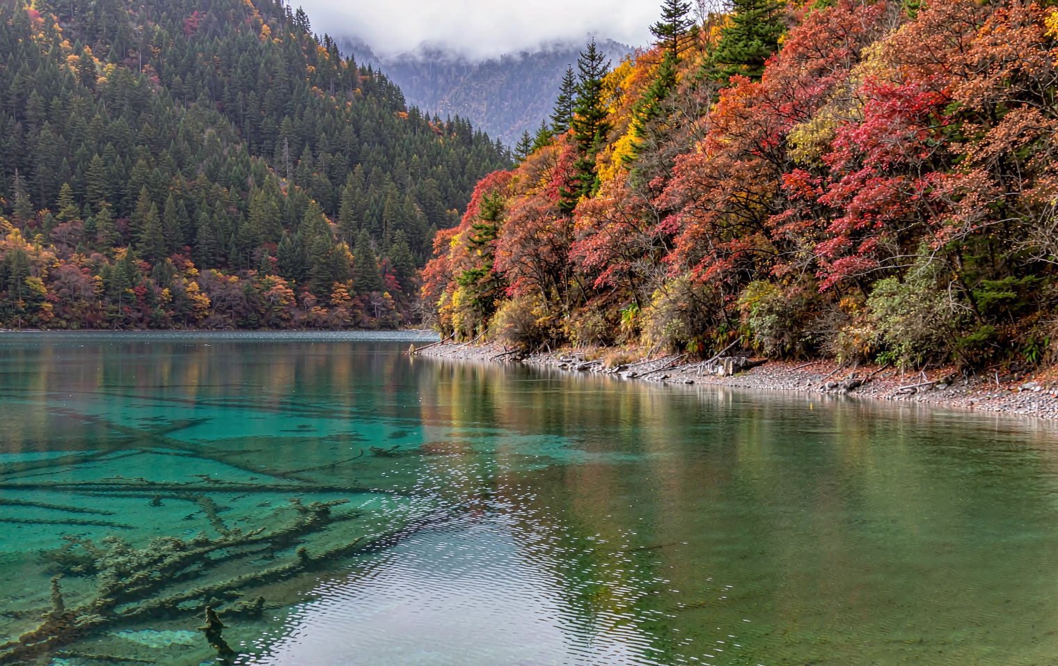Chengdu, Jiuzhaigou & Huanglong, 6 Days