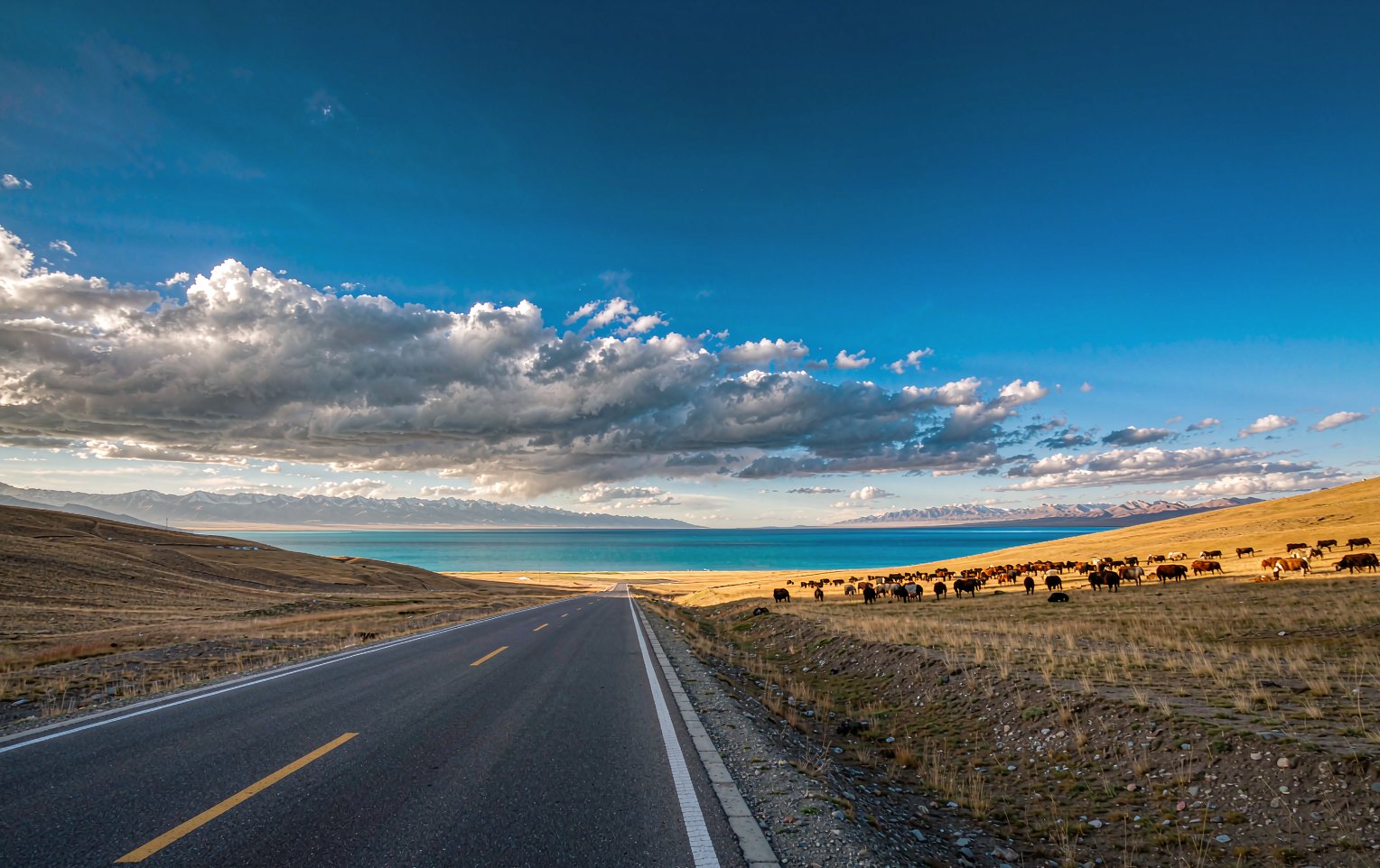 Qinghai & Gansu Grand Loop, 8 Days
